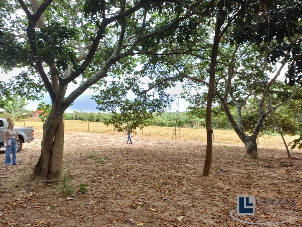 Terreno, 7000 m² - Foto 5