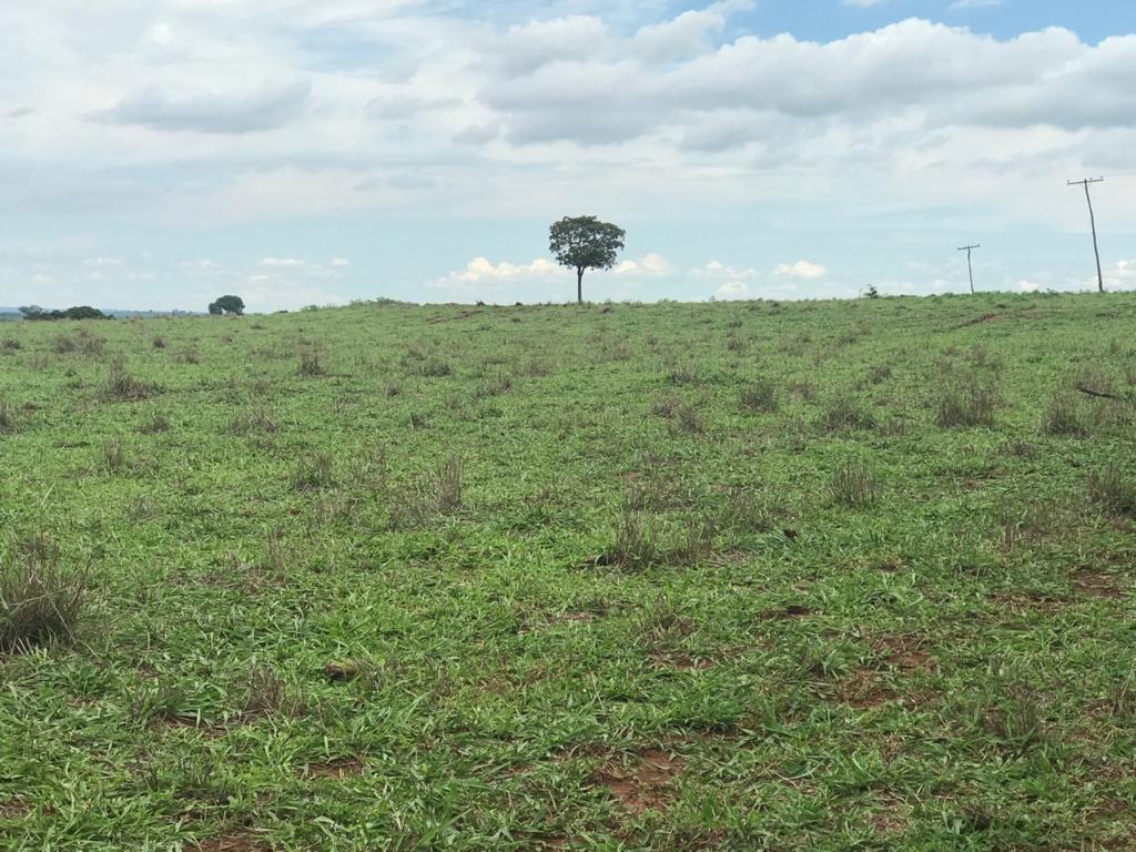 Fazenda, 81 m² - Foto 2