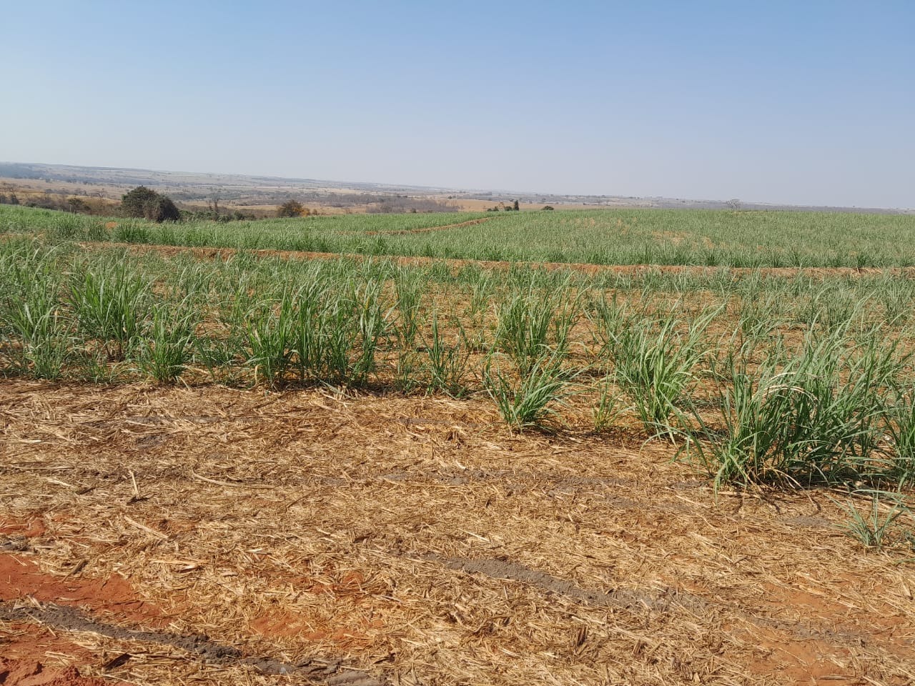 Fazenda, 40 m² - Foto 5