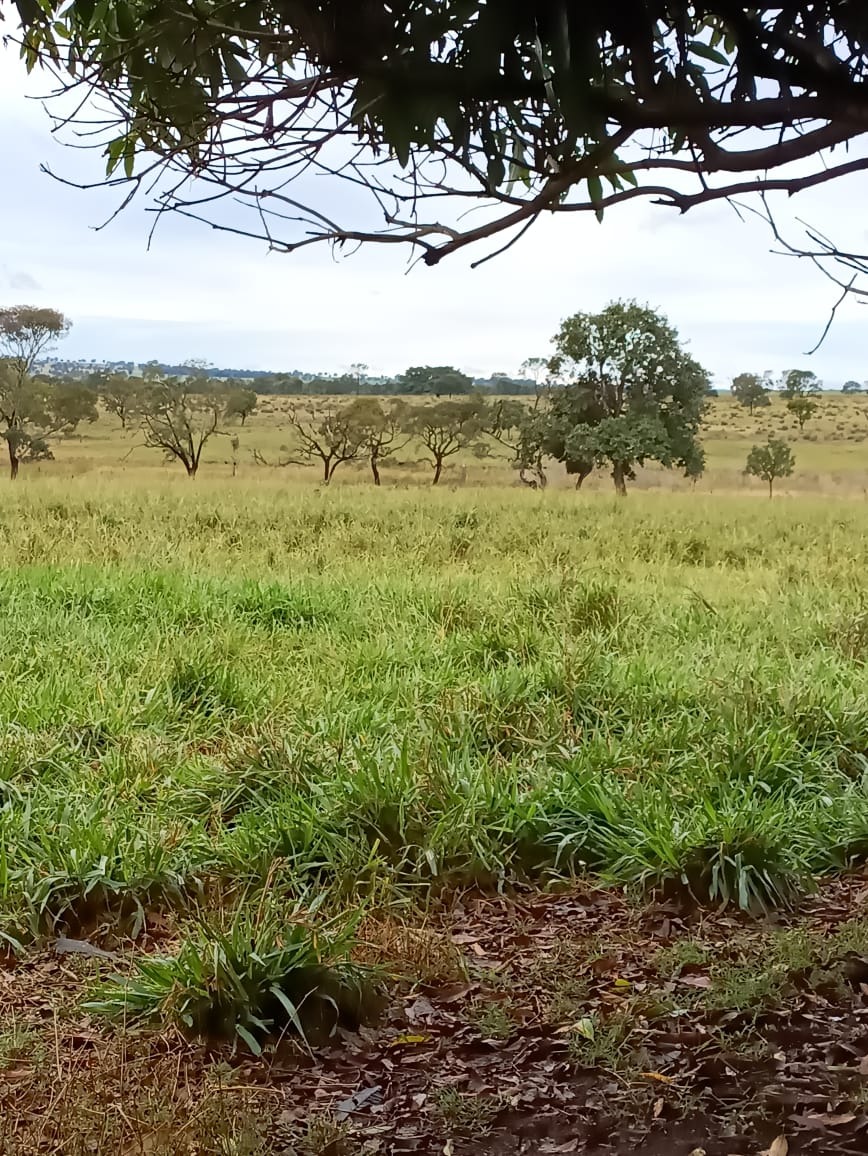 Fazenda, 112 m² - Foto 1