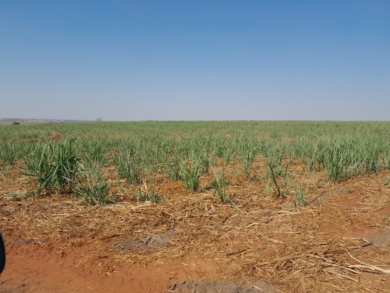 Fazenda, 40 m² - Foto 4