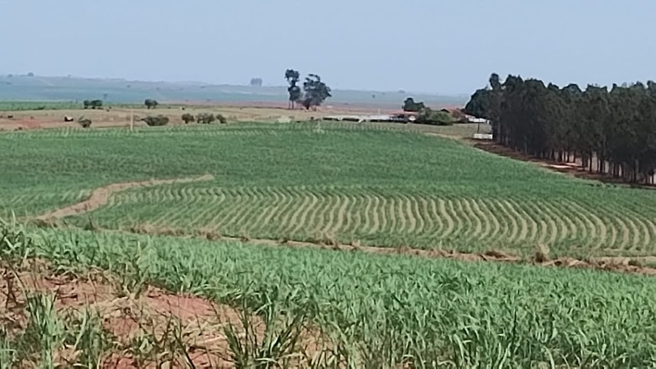 Fazenda, 88 m² - Foto 3