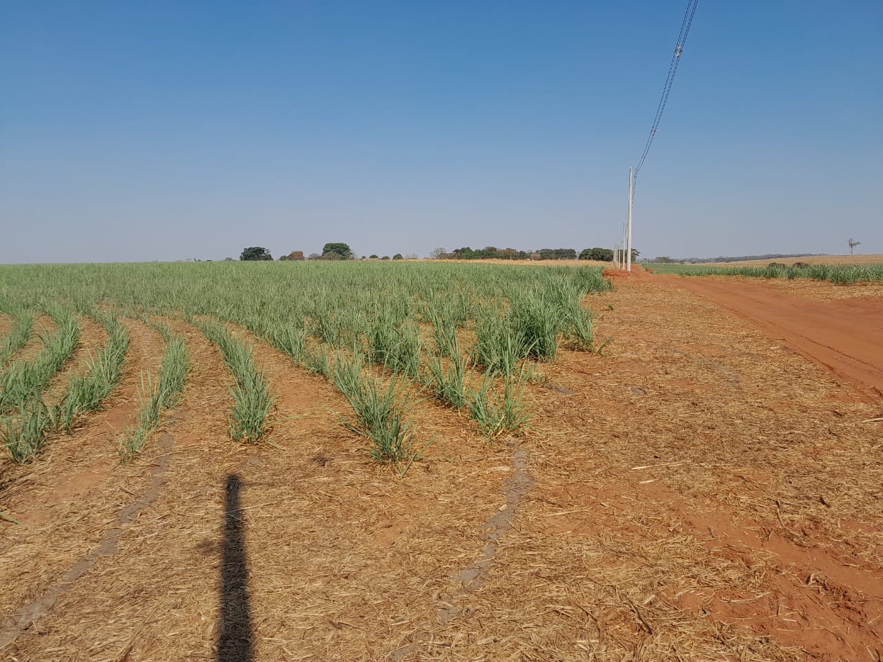 Fazenda, 40 m² - Foto 3