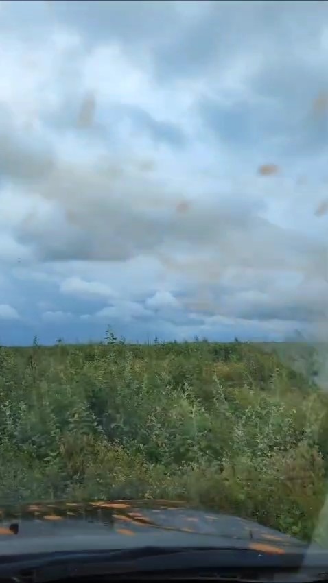 Fazenda, 336 m² - Foto 2