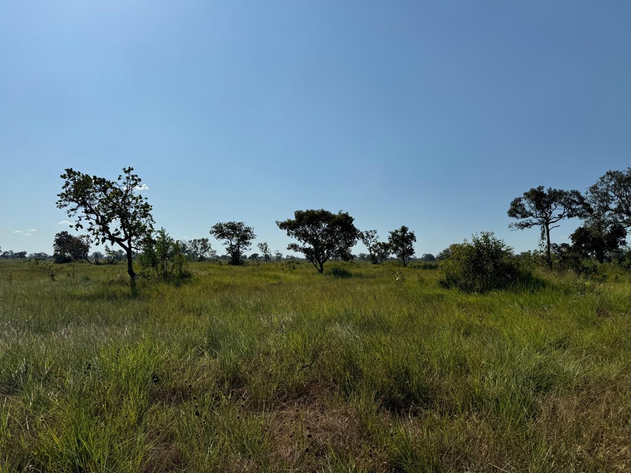 Fazenda, 997 m² - Foto 2