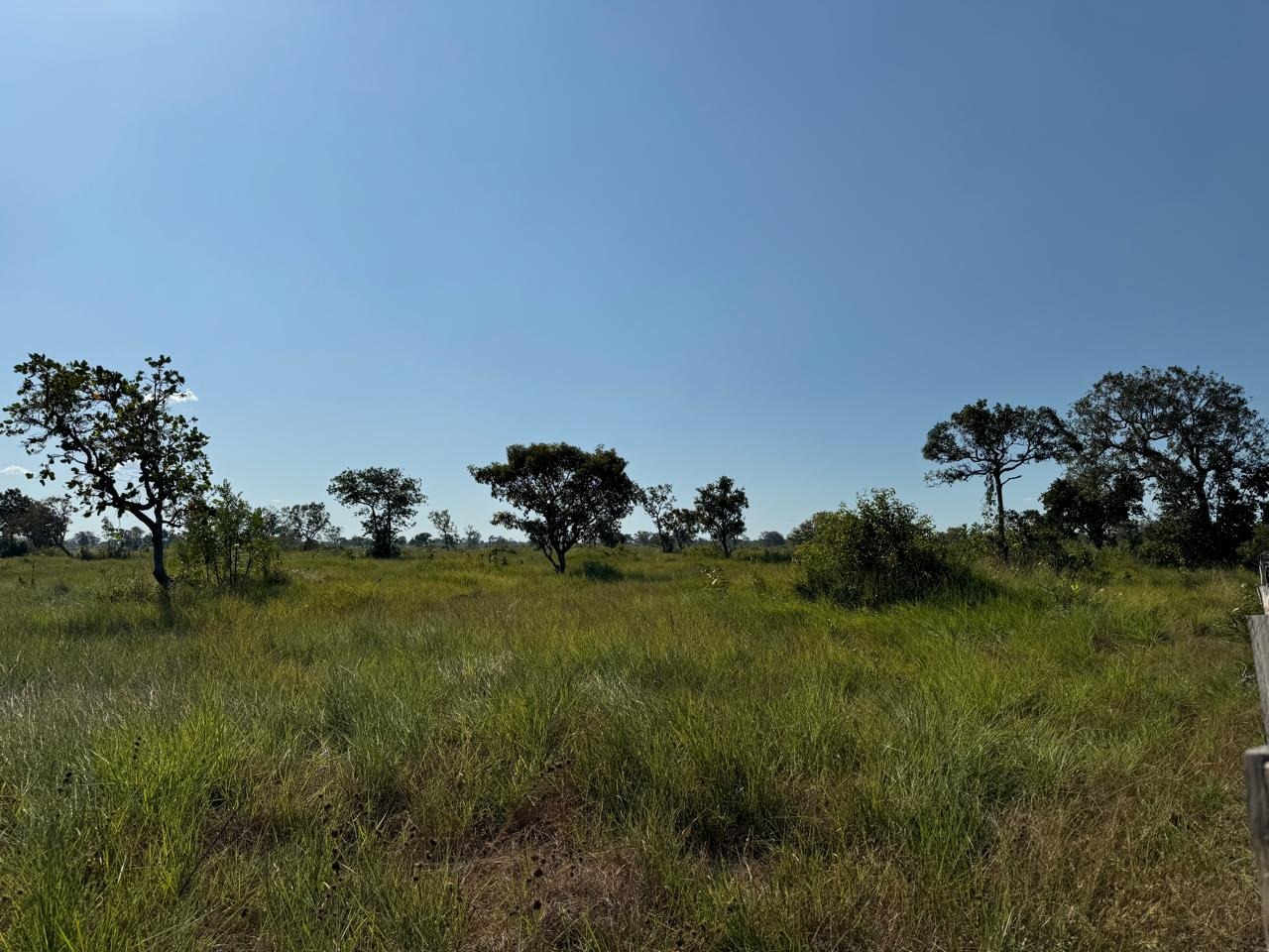 Fazenda, 997 m² - Foto 3