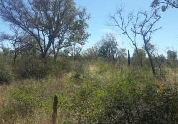 Fazenda, 1033 m² - Foto 3