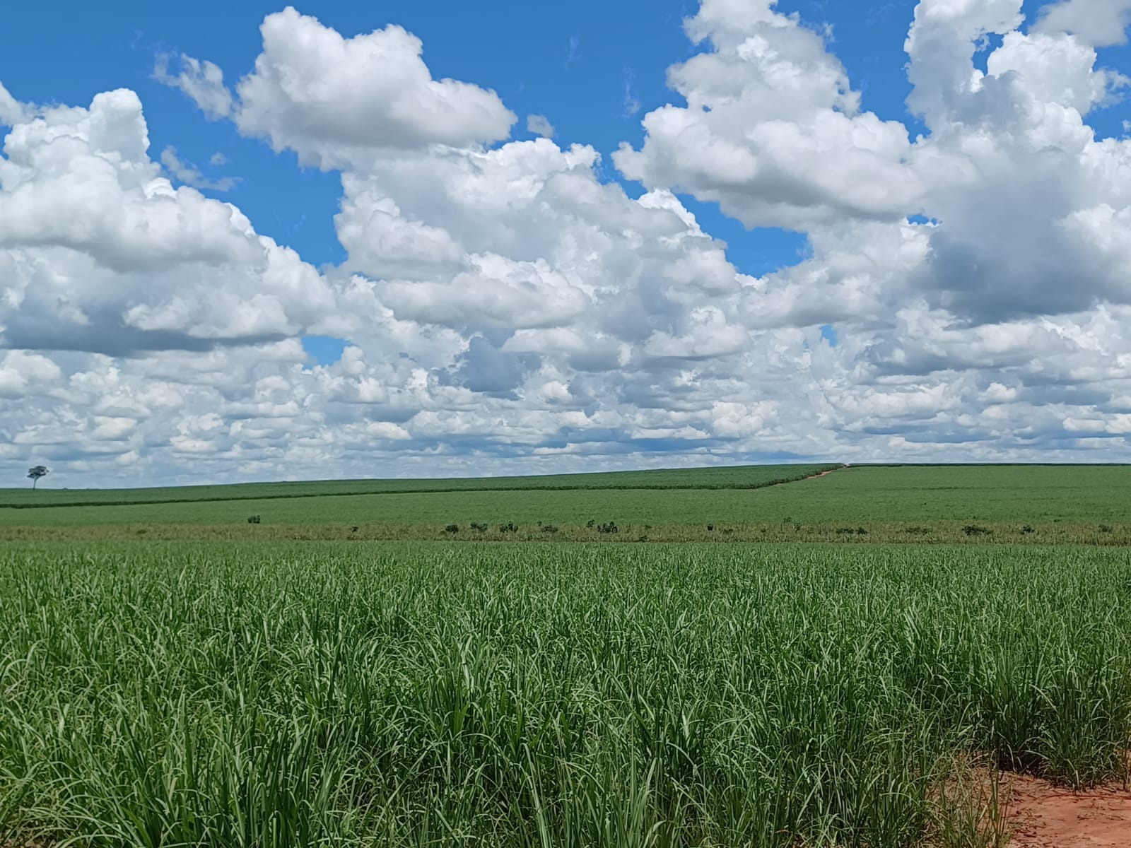 Fazenda, 148 m² - Foto 1