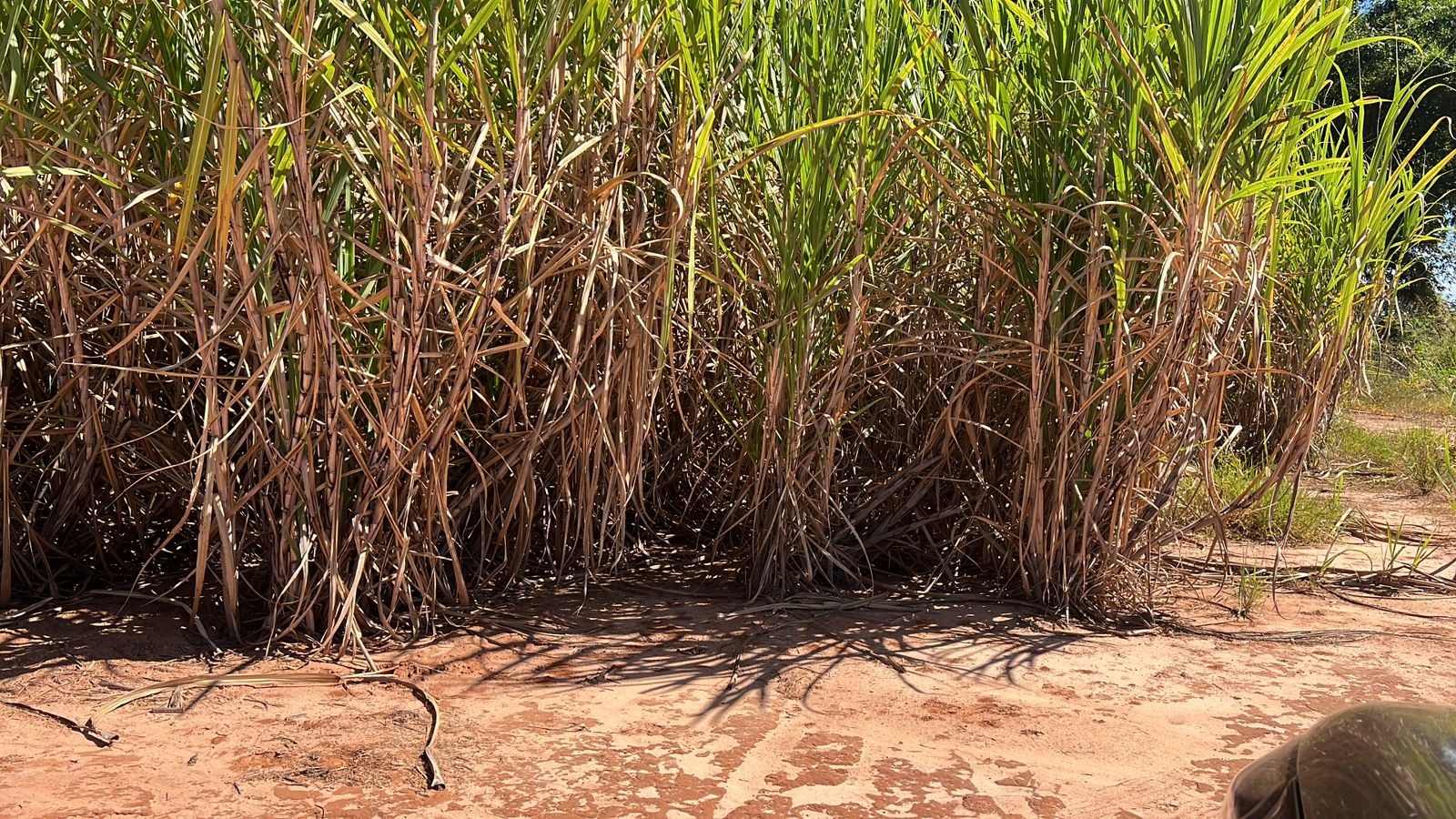 Fazenda, 46 m² - Foto 1