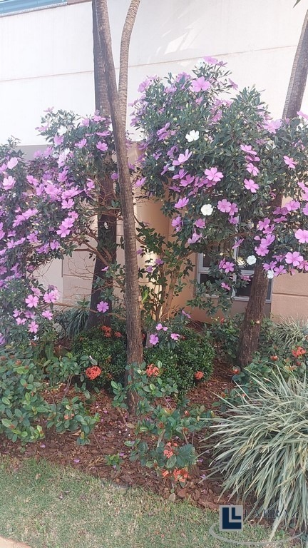 Cobertura, 3 quartos, 210 m² - Foto 80