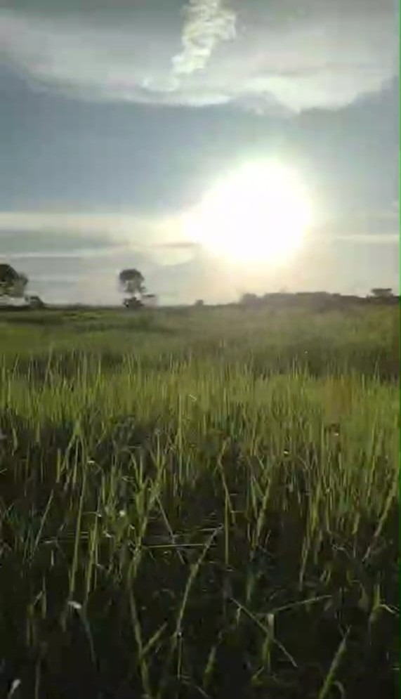 Fazenda, 412 m² - Foto 1