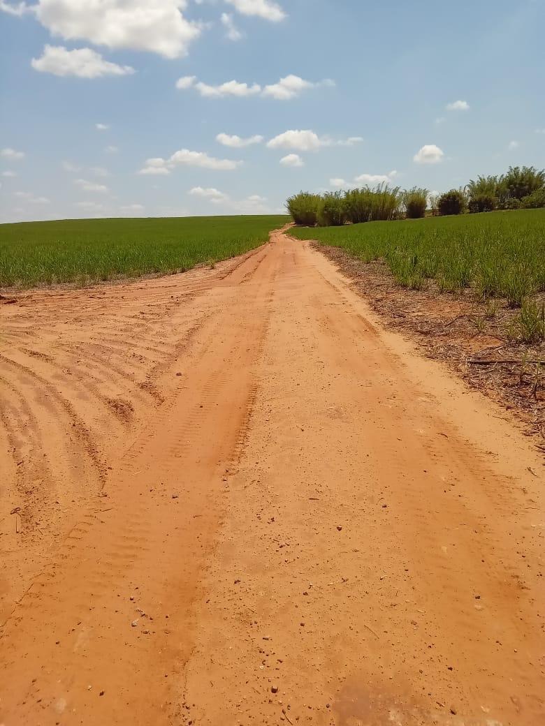 Fazenda, 169 m² - Foto 4