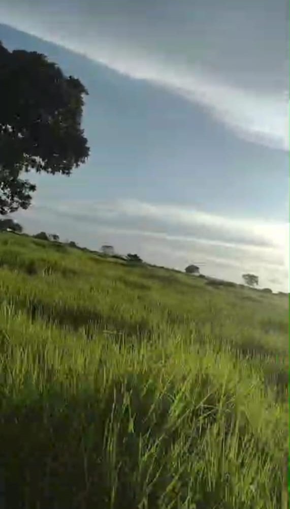 Fazenda, 412 m² - Foto 2