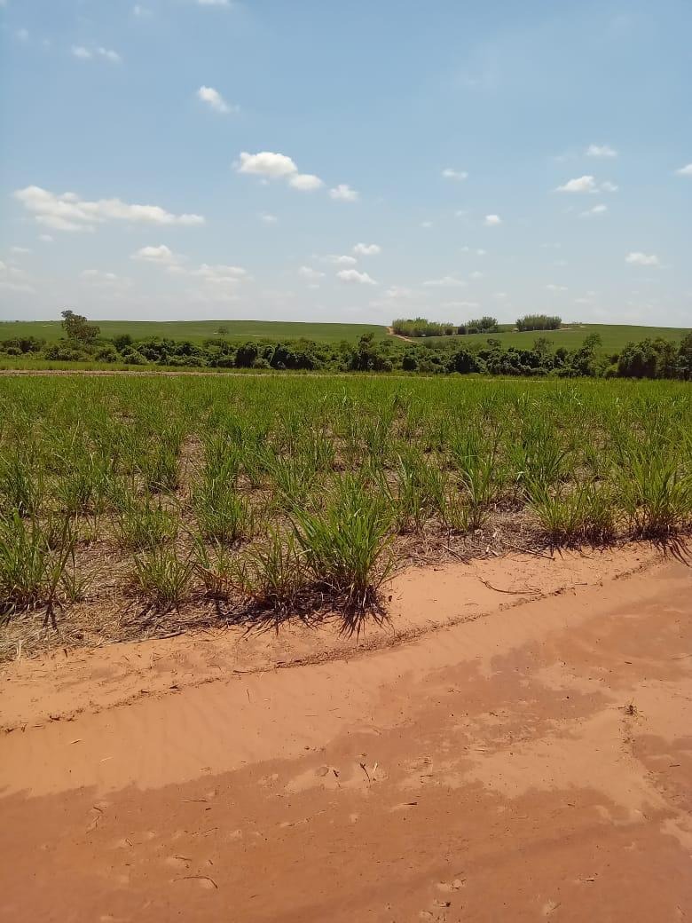 Fazenda, 169 m² - Foto 3