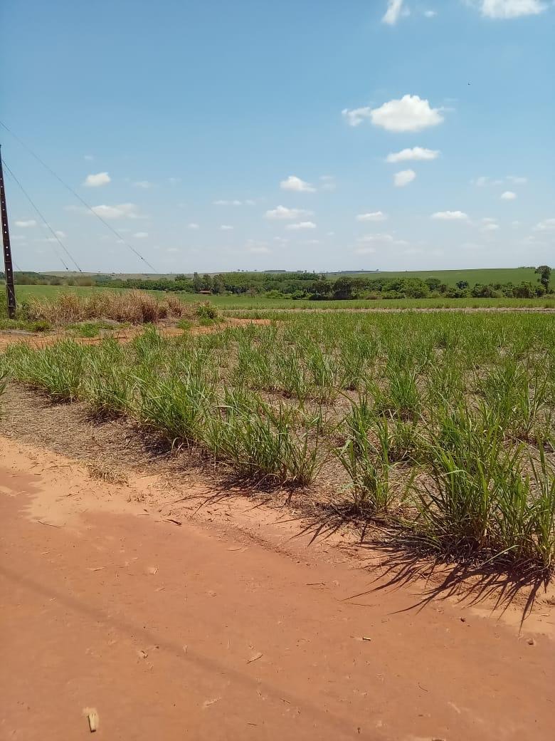 Fazenda, 169 m² - Foto 2