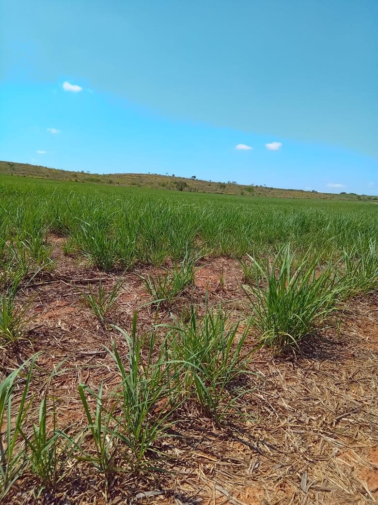 Fazenda, 169 m² - Foto 5