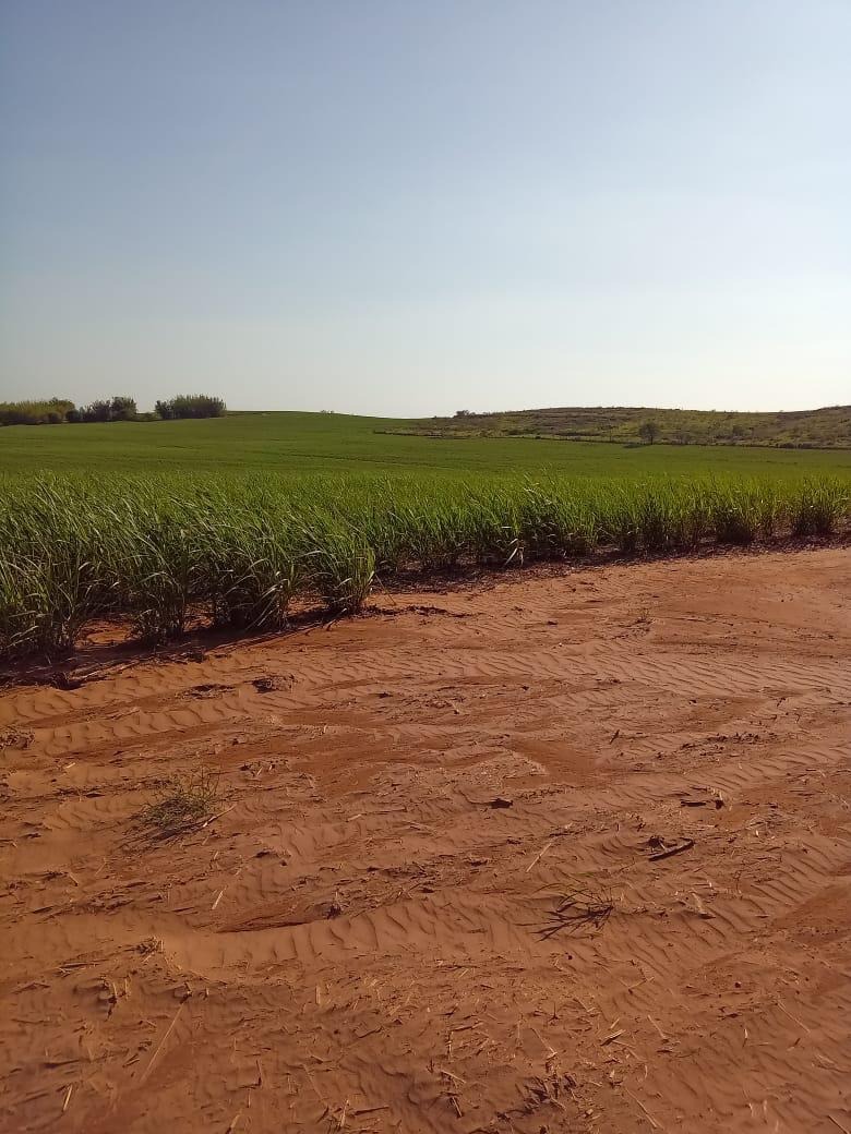 Fazenda, 169 m² - Foto 1