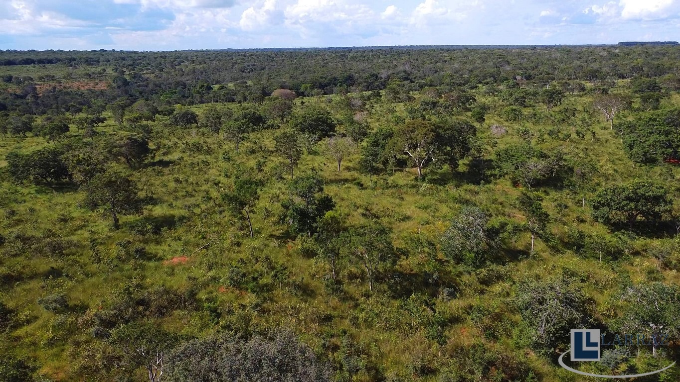 Sítio, 31 m² - Foto 2