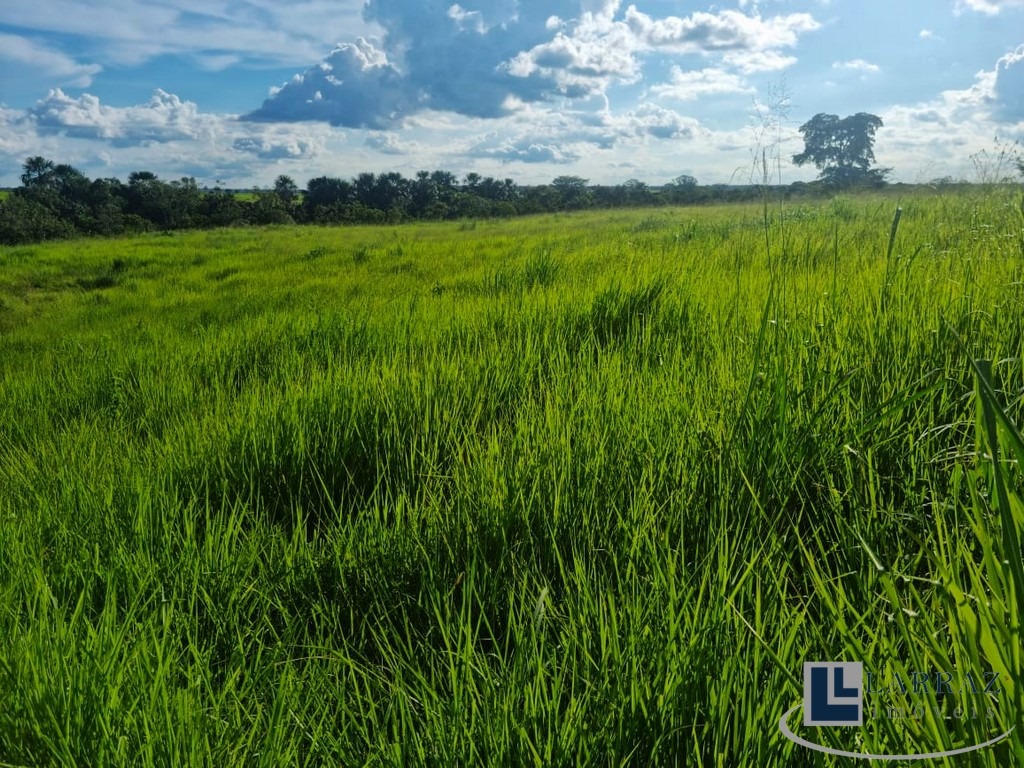 Fazenda, 553 m² - Foto 4