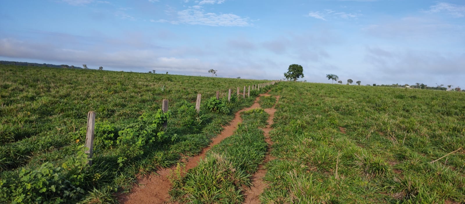 Fazenda, 4128 m² - Foto 2