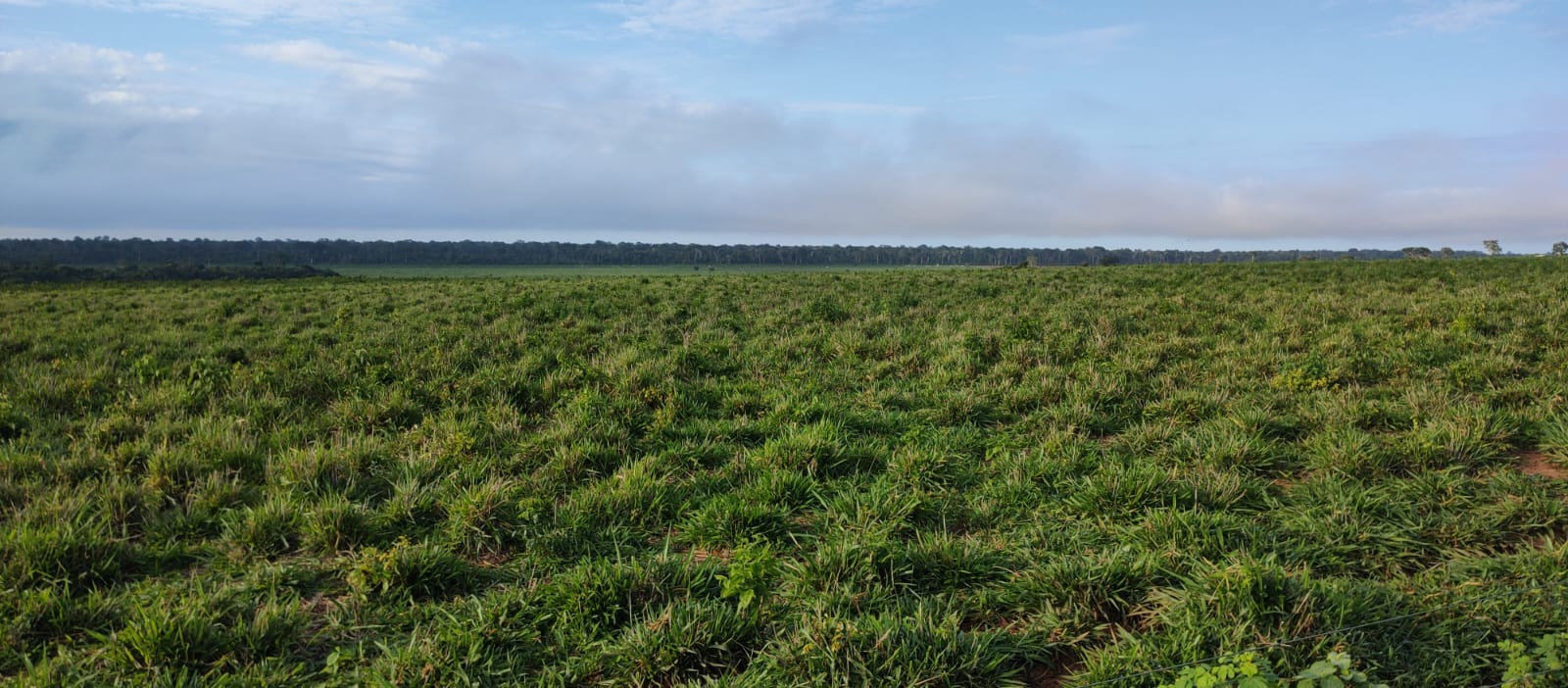 Fazenda, 4128 m² - Foto 1