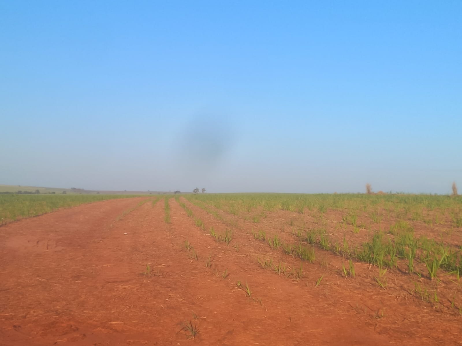 Fazenda, 415 m² - Foto 1