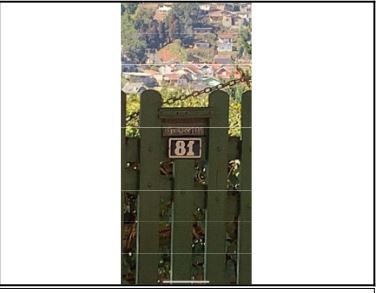 Casa, 5 quartos, 495 m² - Foto 2