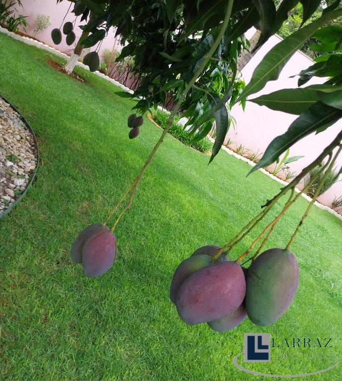 Casa, 5 quartos, 255 m² - Foto 3