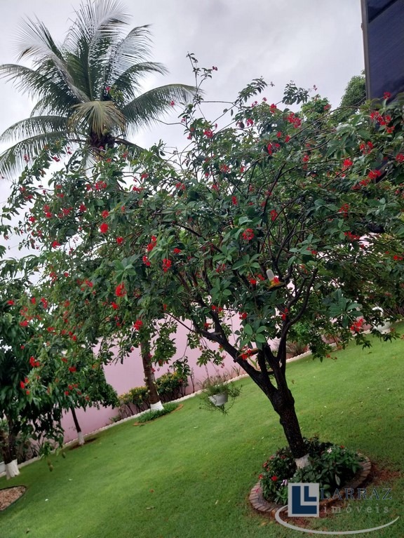 Casa, 5 quartos, 255 m² - Foto 7