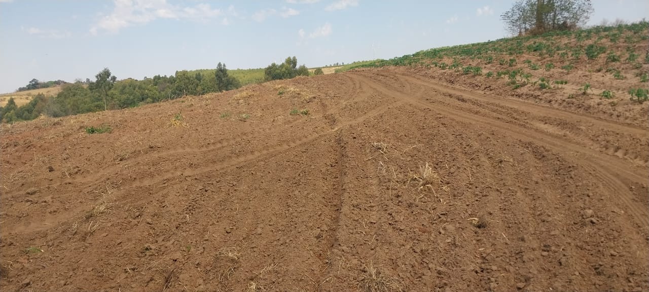 Fazenda, 140 m² - Foto 1