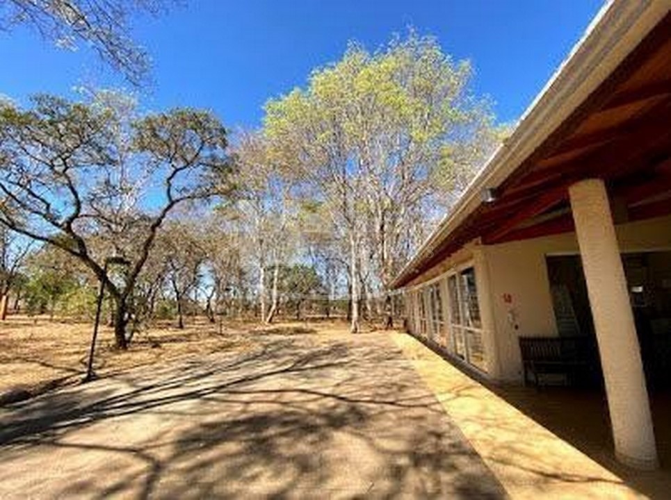 Apartamento, 3 quartos, 75 m² - Foto 29