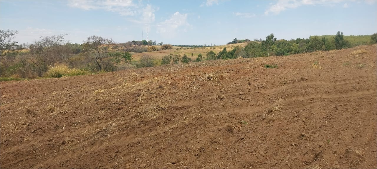 Fazenda, 140 m² - Foto 3