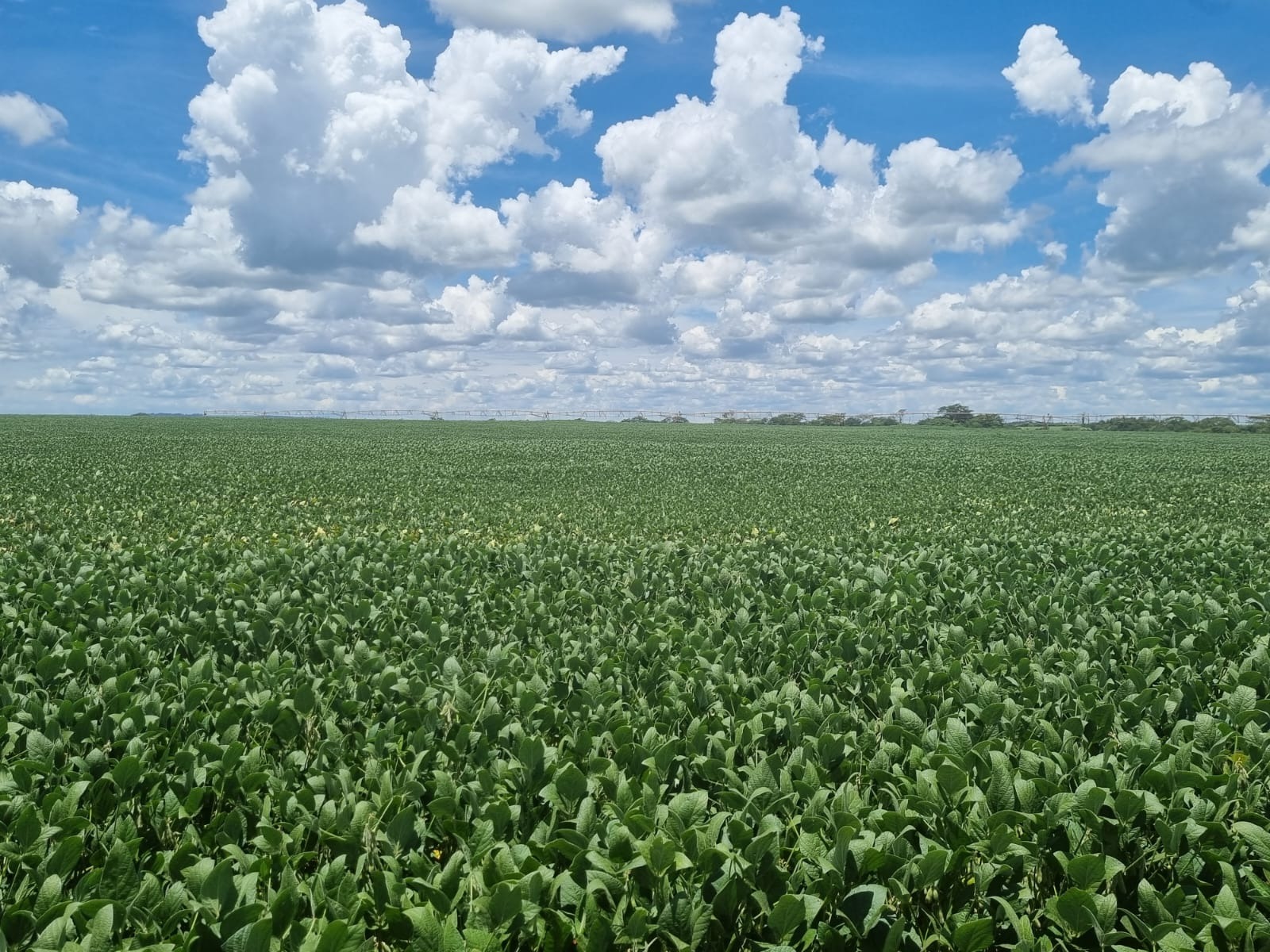 Fazenda, 57 m² - Foto 1