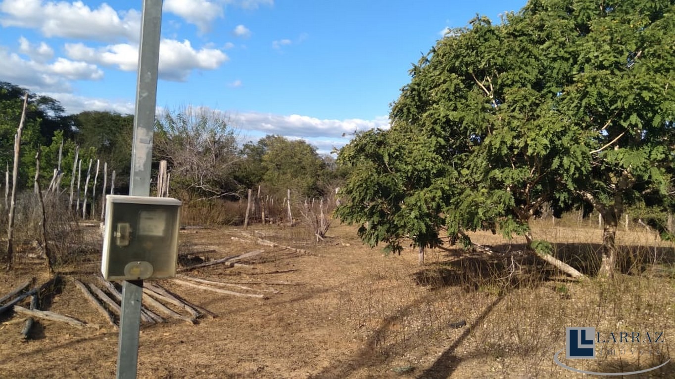 Fazenda, 116 m² - Foto 6