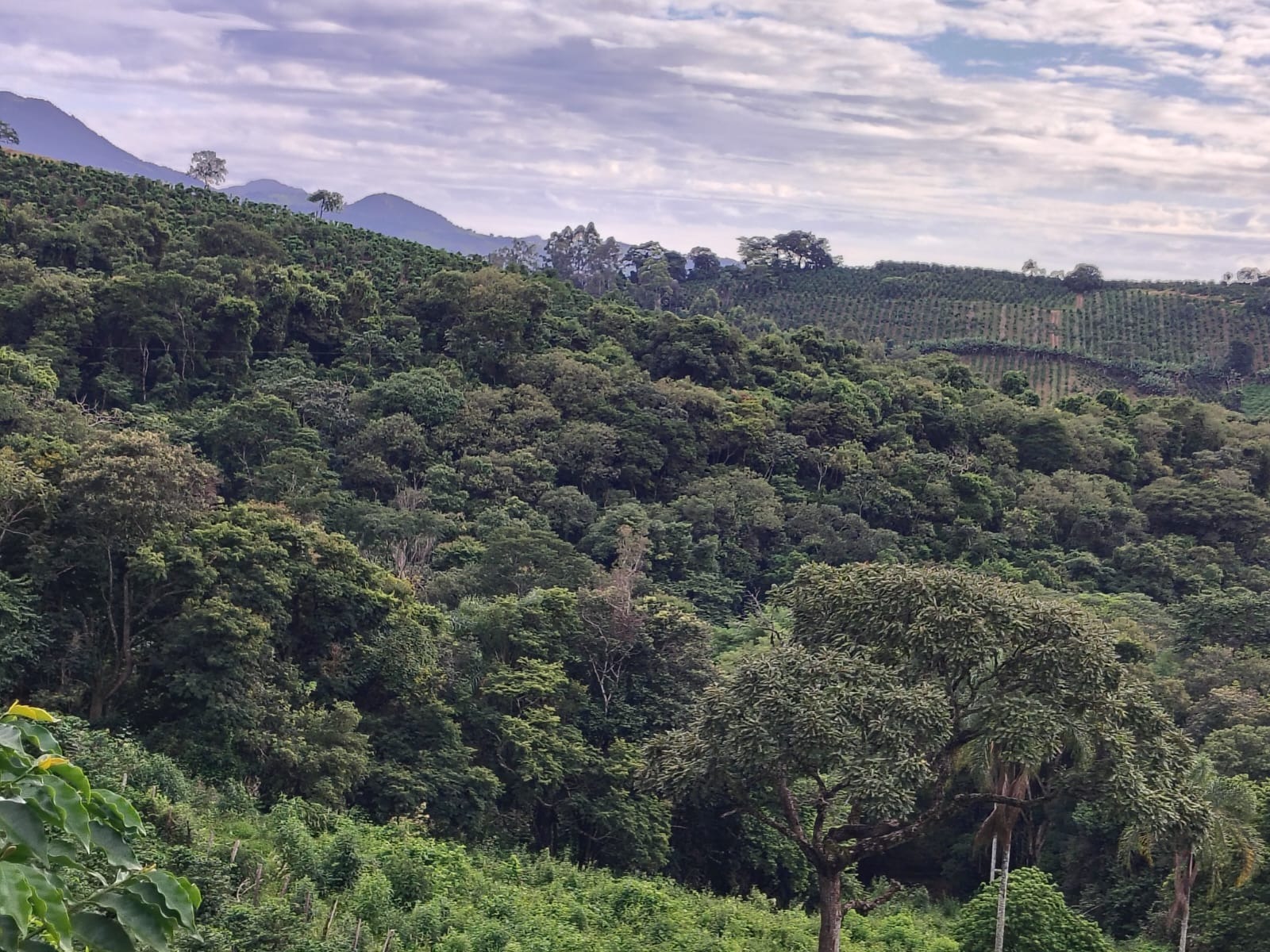 Sítio, 4 m² - Foto 1