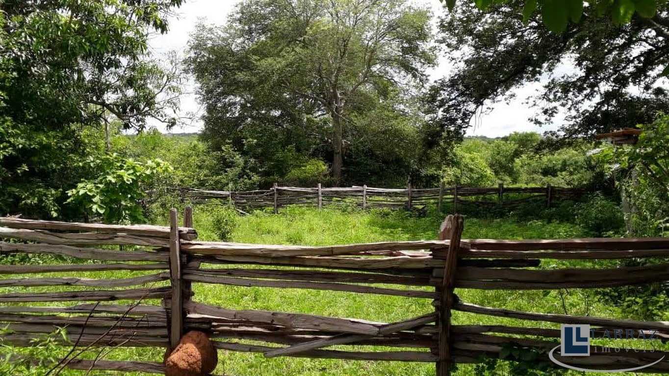 Fazenda, 116 m² - Foto 2