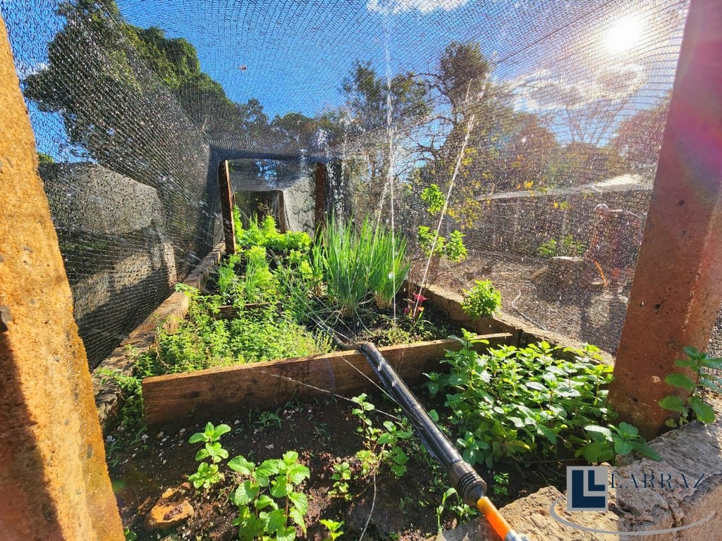 Chácara, 5 quartos, 2800 m² - Foto 22