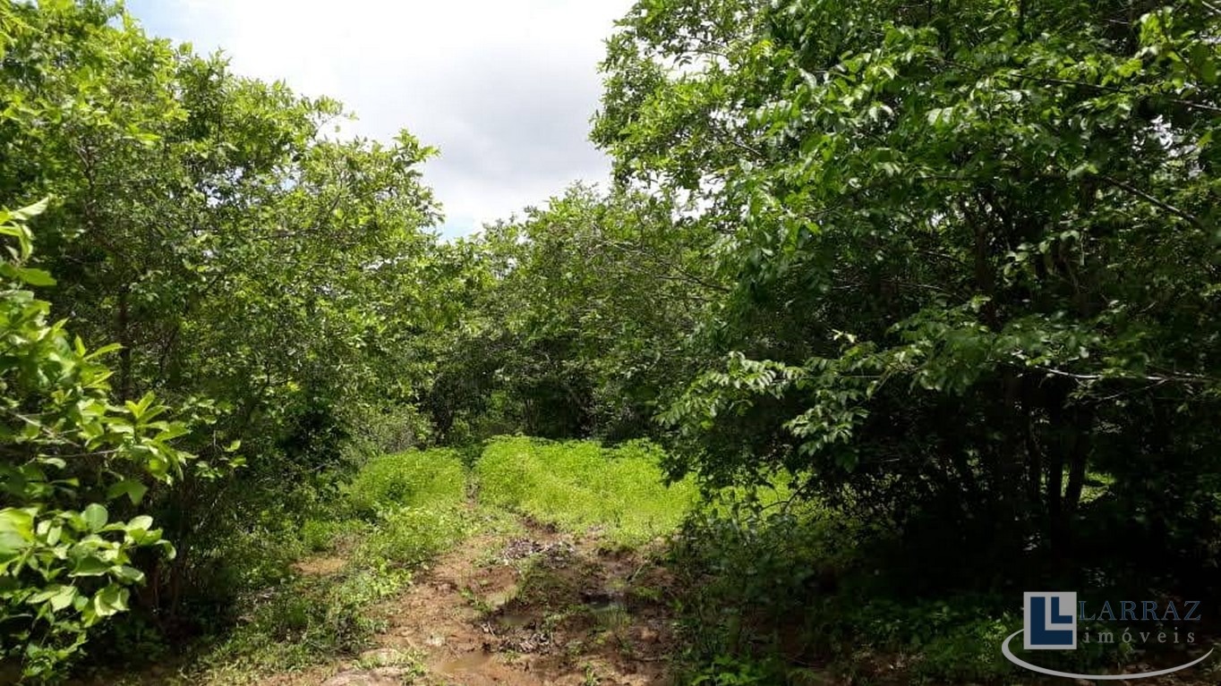 Fazenda, 116 m² - Foto 3