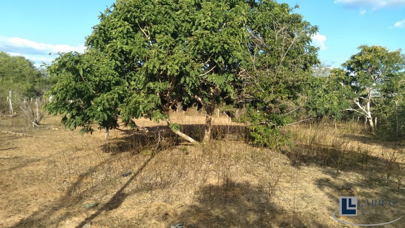 Fazenda, 116 m² - Foto 7