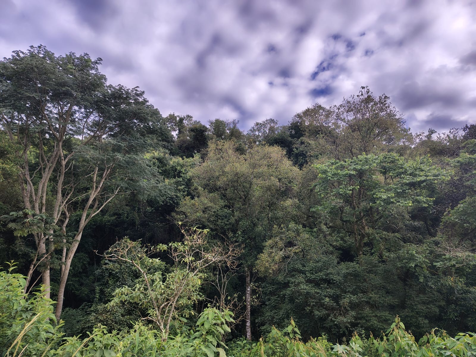 Sítio, 4 m² - Foto 5