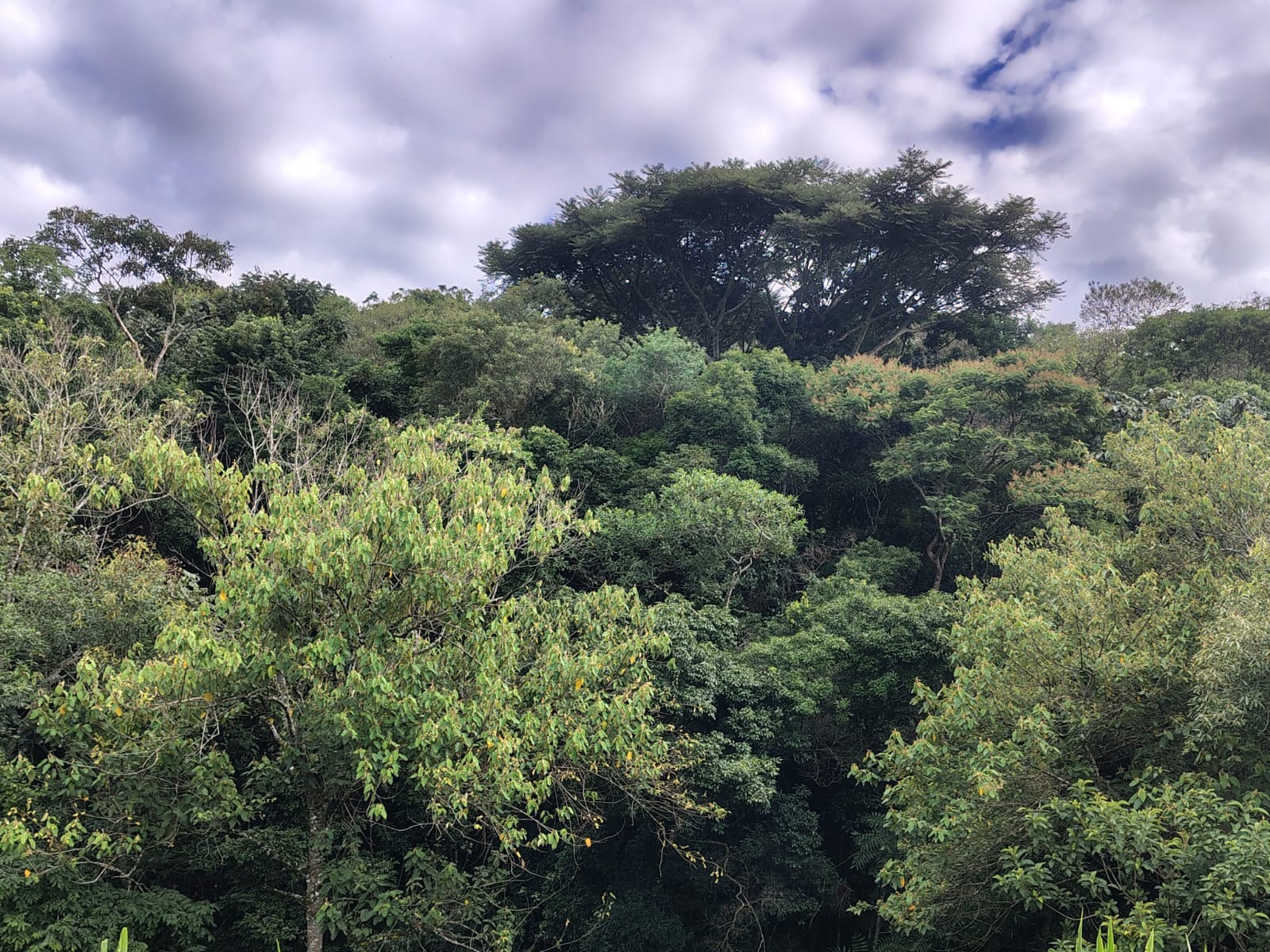 Sítio, 4 m² - Foto 4