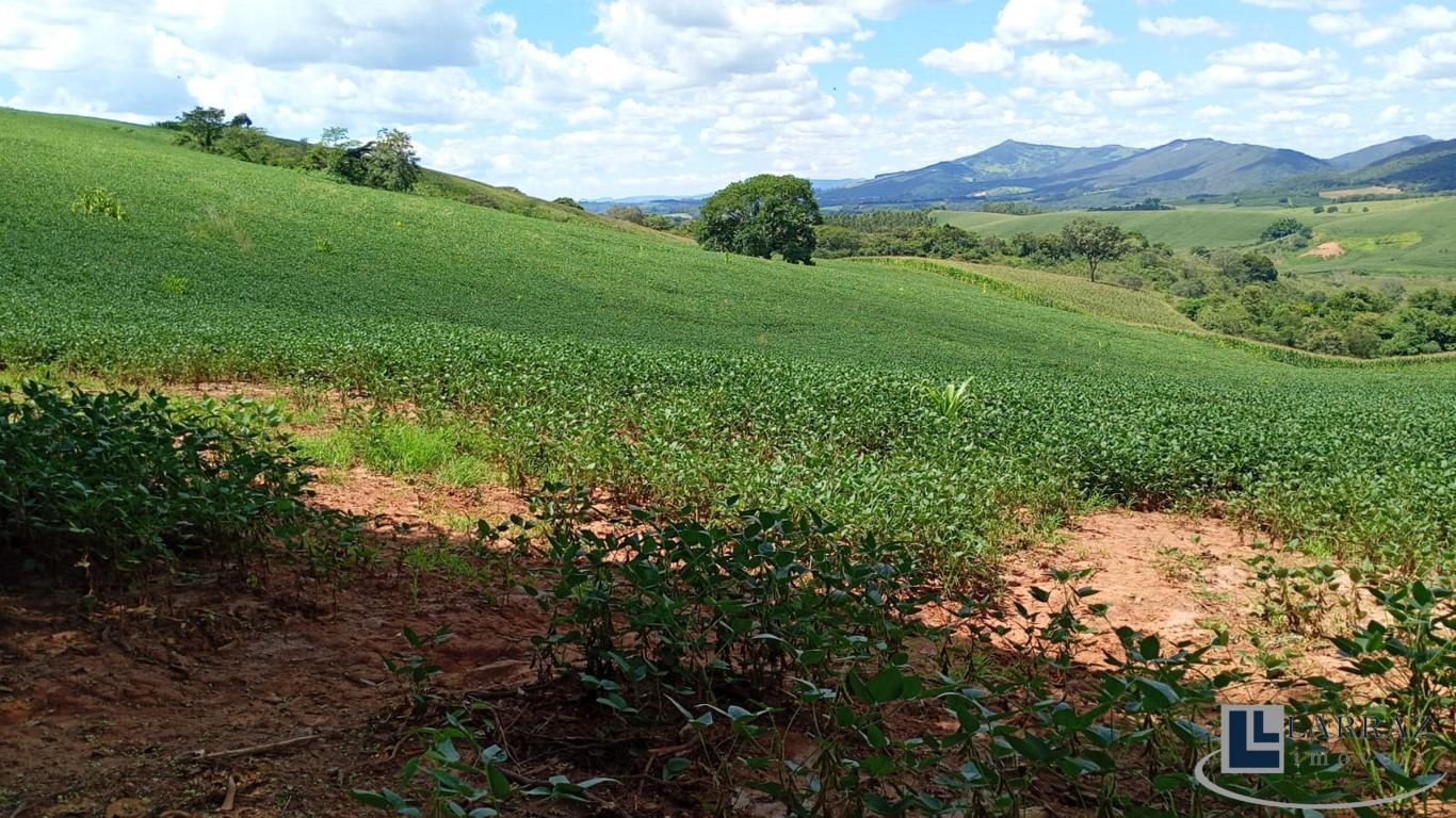 Fazenda, 40 m² - Foto 14