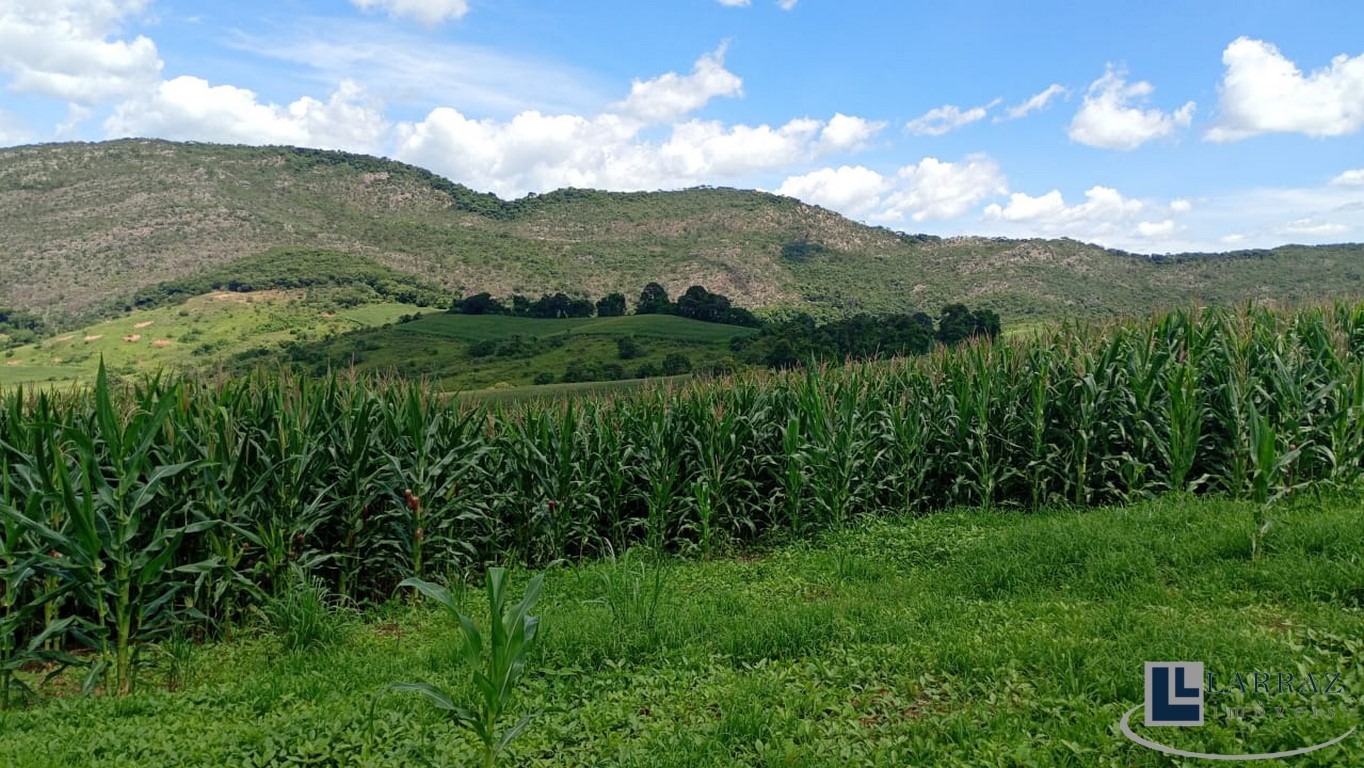 Fazenda, 40 m² - Foto 15