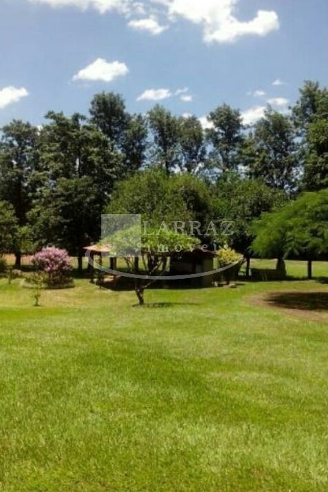 Apartamento, 3 quartos, 67 m² - Foto 34