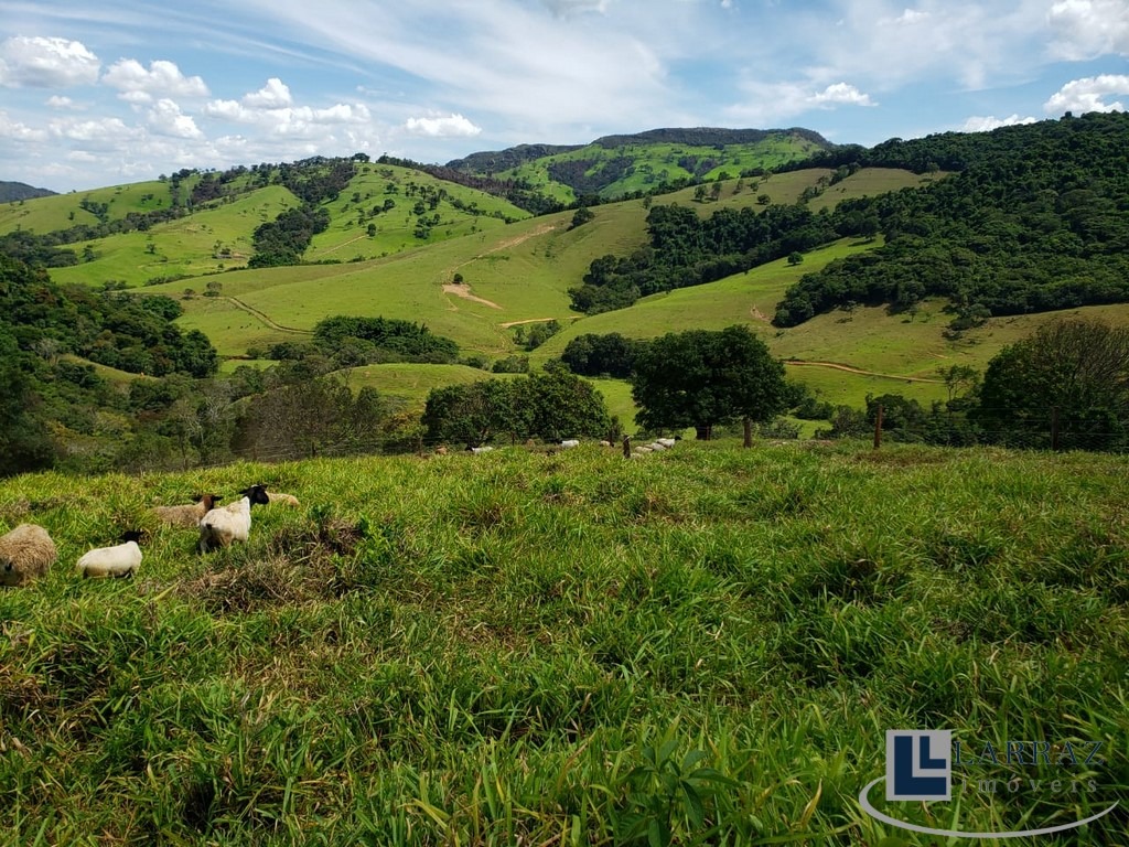 Sítio, 30 m² - Foto 1