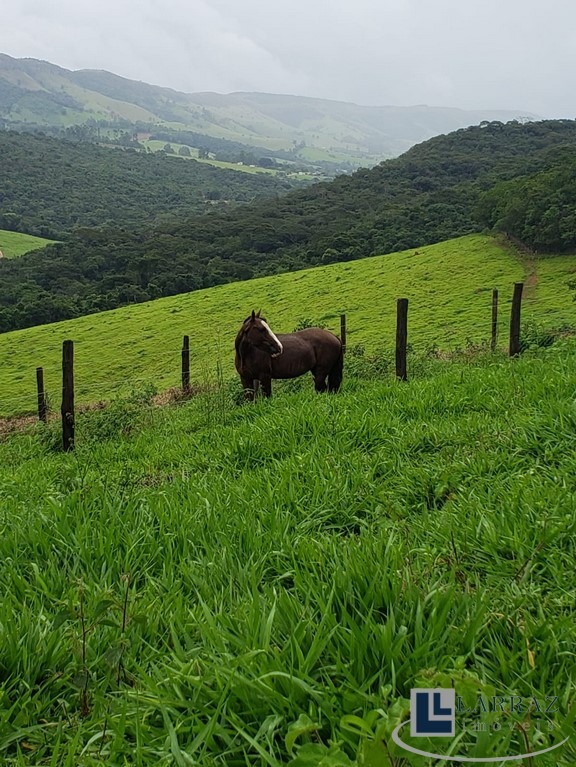 Sítio, 30 m² - Foto 8