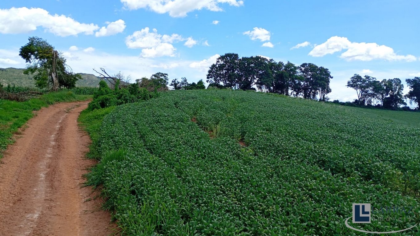 Fazenda, 40 m² - Foto 3