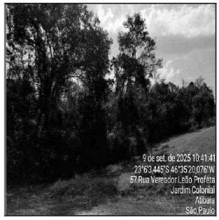 Fazenda, 1 hectares - Foto 1