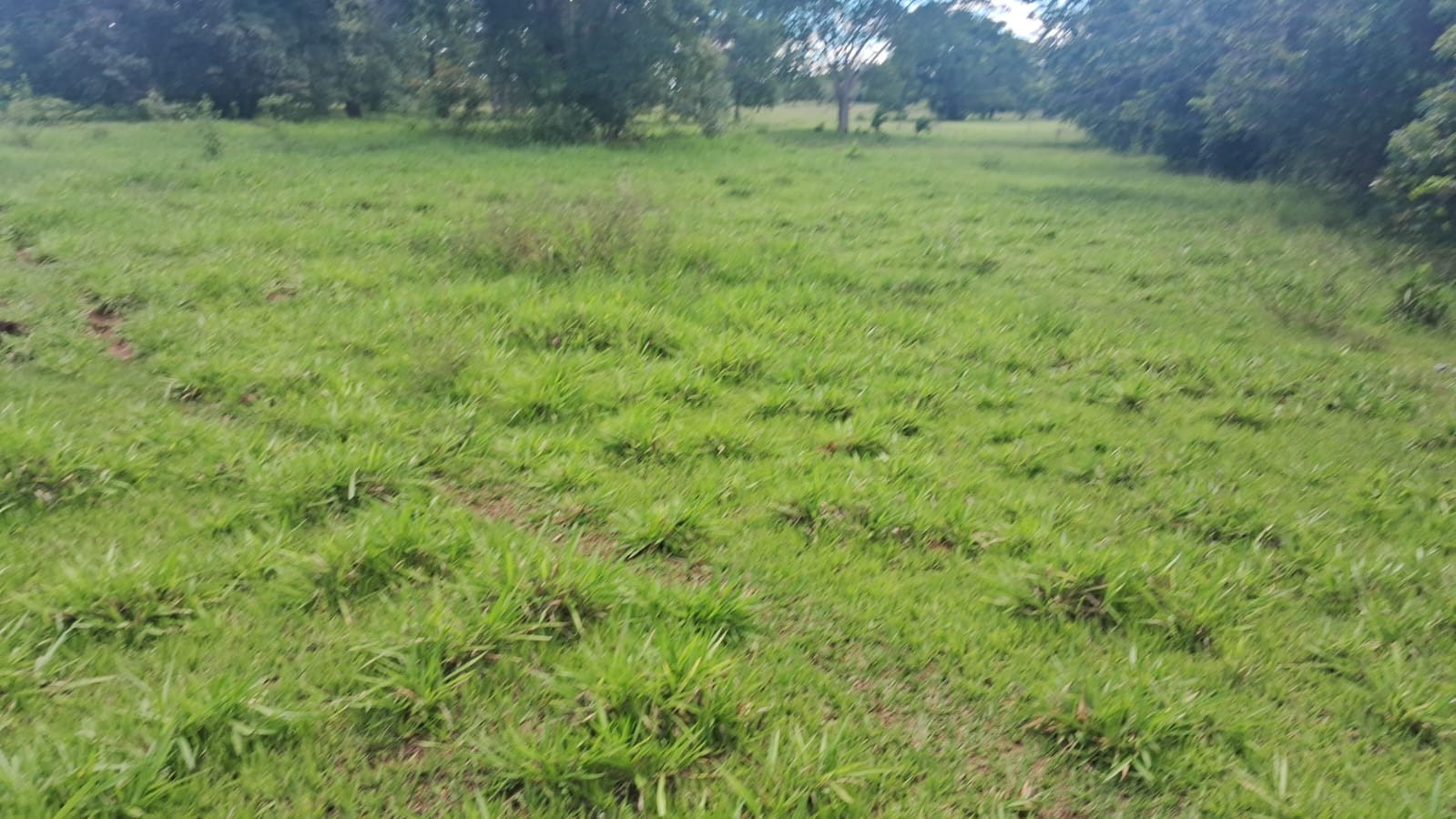 Fazenda, 94 m² - Foto 1