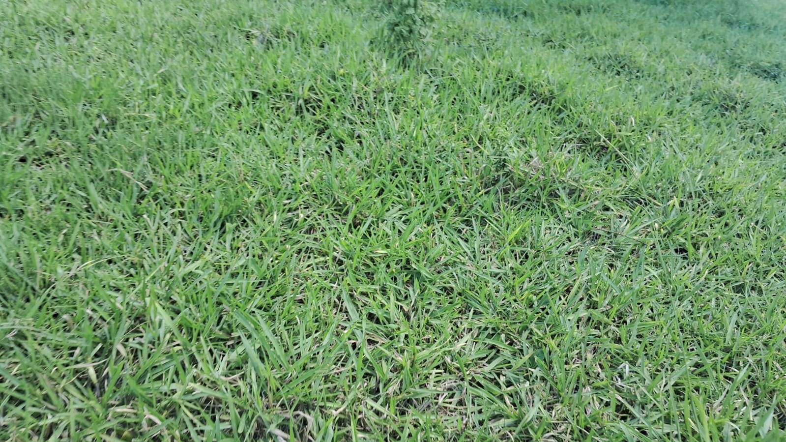 Fazenda, 94 m² - Foto 5